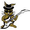 Rockstar Hase