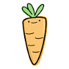 Root