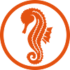 Hippocampe