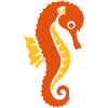 Hippocampe