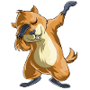 Dabbing Groundhog