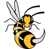 Wasp with giant sting