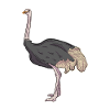 Strauß-Illustration