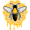 a bee and honeycomb