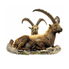 Ibex> patgific <