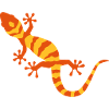 Gecko