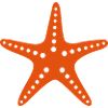Étoile de mer