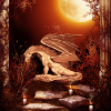 Wonderful dragon at night