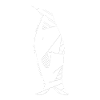 Geometric penguin