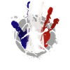 Handball France Team