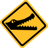 Crocodile