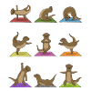 Loutre de yoga