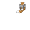 Fox in breast pocket