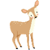 Bébé Cerf