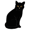 Black cat