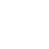 racoon