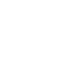 English Setter