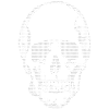 Code ASCII (Skull-One-Edition)
