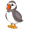 Puffin
