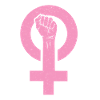 Feminism Fist