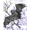 Fledermaus Vampir