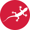 gecko03