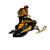 snowmobile racing