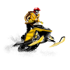 snowmobile racing