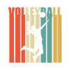Volleyball Retro