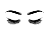 Eyelashes Lash Eyelash black eyebrows