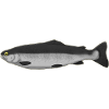fish Fish