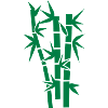 Bamboo