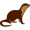 Otter