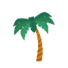 palm