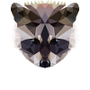 Raton laveur polygone