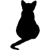 Cat Kitten Cat Shirt Gift