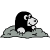 Mole