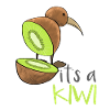 Kiwi Fruit Kiwi Bird