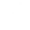 Dog's paw