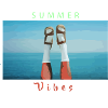 Summer Vibes