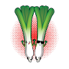 Two sticks of leek