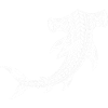 Hammerhead white
