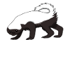 Honning Badger Honning Badger Marder Farlig Fed