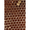 honeycomb