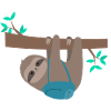 Sloth extreme climber Extreme climber
