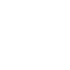 THE WALKING DAD