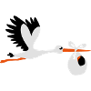 Stork