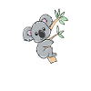 Koala bear