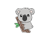 Koala bear