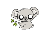 Koala bear